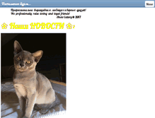 Tablet Screenshot of ahote-cats.com